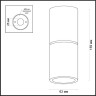 Потолочный светильник ODEON LIGHT DUETTA 3583/1C