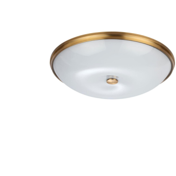 Потолочный светильник ODEON LIGHT WALLI PELOW 4956/4